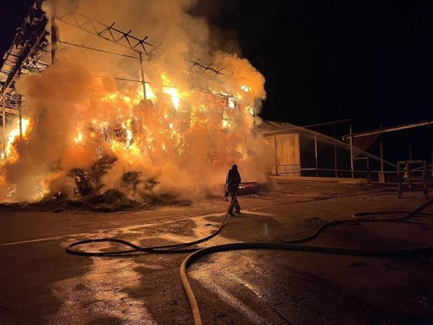 Foto - Bursa'da korkutan yangın