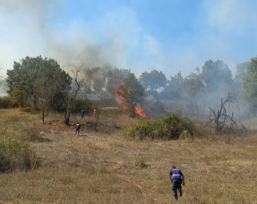 Foto - Bursa'da peş peşe orman yangını