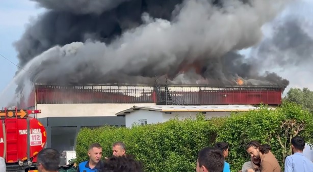 Foto - Bursa'da soğuk hava deposu alev alev yandı