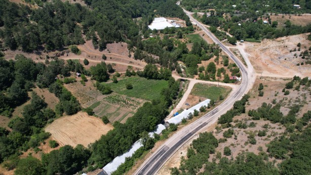 Bursa'da tarıma uygun olmayan alanda toprağa ekti! Aldığı sonuç İspanyol ve Hollandalıları panikletti