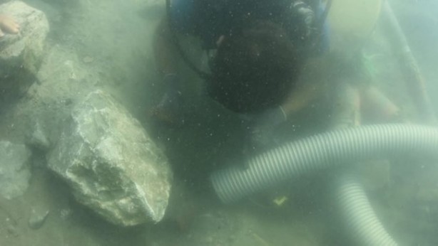 Foto - Bursa'da tesadüfen bulundu! 'Yüzyılın keşfi'