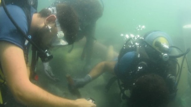 Foto - Bursa'da tesadüfen bulundu! 'Yüzyılın keşfi'