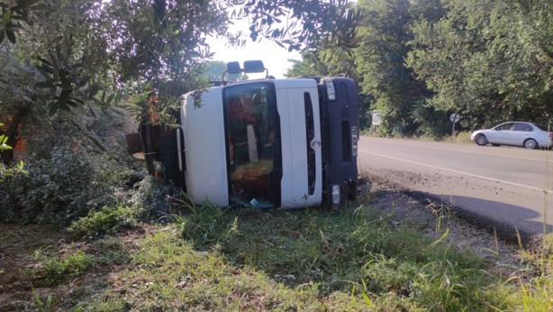 Foto - Bursa'da tır zeytinliğe devrildi! Bazı tavuklar telef oldu