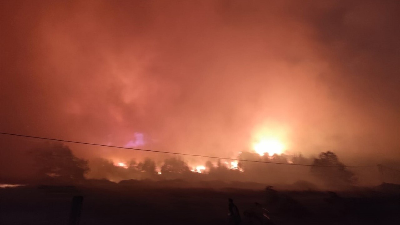 Foto - Bursa'dan yüreklere su serpen haber