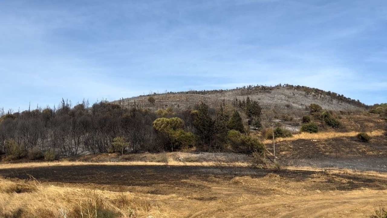 Foto - Bursa'dan yüreklere su serpen haber