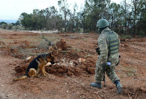 Foto - Burseya Dağı patlayıcılardan temizleniyor