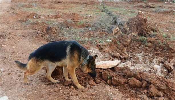 Foto - Burseya Dağı patlayıcılardan temizleniyor