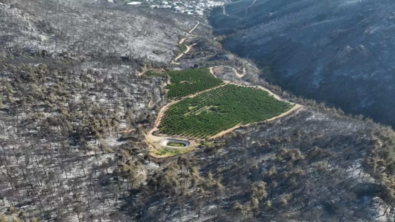 Foto - Bütün bir Bursa’yı kül eden alevler bir tek oraya ulaşamadı! Sebebi bakın ne çıktı