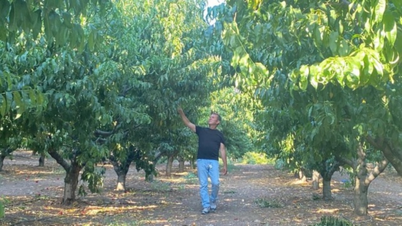 Foto - Bütün bir Bursa’yı kül eden alevler bir tek oraya ulaşamadı! Sebebi bakın ne çıktı