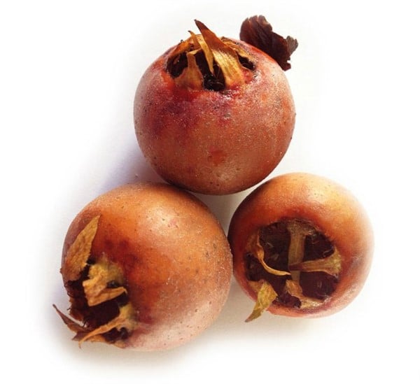 Foto - Bütün bir şifa kaynağı: Karaciğeri ve böbrekleri arınıyor! Şok edici öyle bir faydası çıktı ki duyan şaştı kaldı 