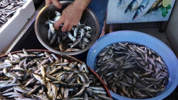Foto - Bütün dünya, onun için Türkiye’nin kapısında kuyruk oldu! Fransa’dan Almanya’ya tam 20 ülke sırada 