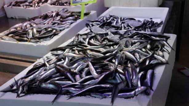 Foto - Bütün dünya, onun için Türkiye’nin kapısında kuyruk oldu! Fransa’dan Almanya’ya tam 20 ülke sırada 