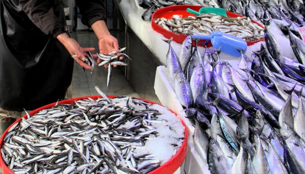 Foto - Bütün dünya, onun için Türkiye’nin kapısında kuyruk oldu! Fransa’dan Almanya’ya tam 20 ülke sırada 