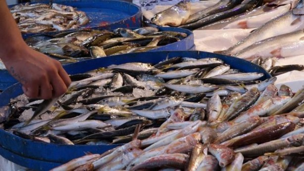 Foto - Bütün dünya, onun için Türkiye’nin kapısında kuyruk oldu! Fransa’dan Almanya’ya tam 20 ülke sırada 