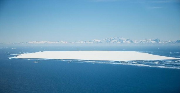 Foto - Koronavirüsü unutturan tehlike dünyayı alarma geçirdi!! Felaketler zincirinin ilk halkası hızla ilerliyor