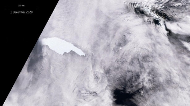 Foto - Koronavirüsü unutturan tehlike dünyayı alarma geçirdi!! Felaketler zincirinin ilk halkası hızla ilerliyor