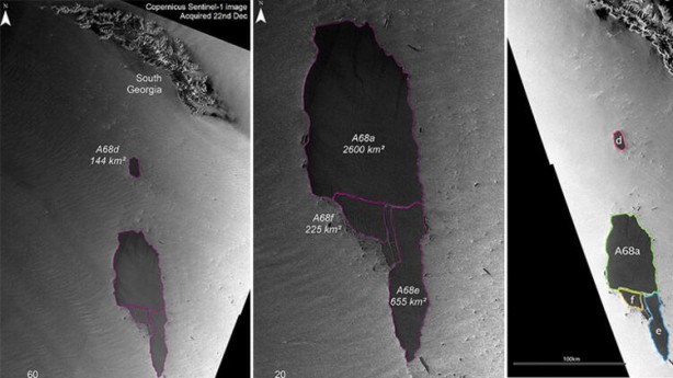 Foto - Koronavirüsü unutturan tehlike dünyayı alarma geçirdi!! Felaketler zincirinin ilk halkası hızla ilerliyor
