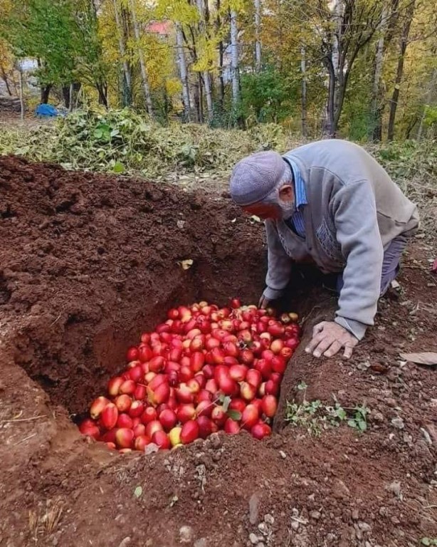 Foto - Bütün sebze meyveleri toprağa gömmeye başladılar! Sebebi çok şaşırttı