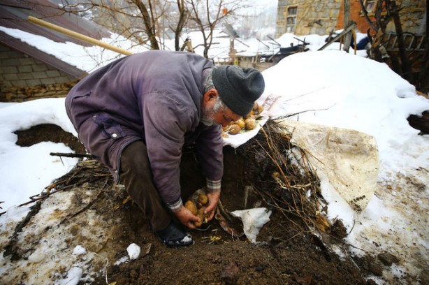 Foto - Bütün sebze meyveleri toprağa gömmeye başladılar! Sebebi çok şaşırttı