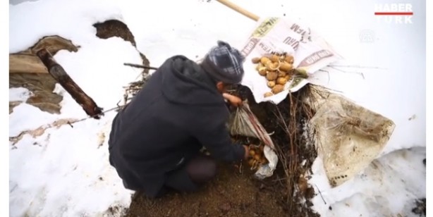 Bütün sebze meyveleri toprağa gömmeye başladılar! Sebebi çok şaşırttı