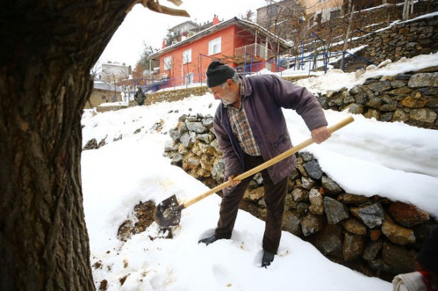 Foto - Bütün sebze meyveleri toprağa gömmeye başladılar! Sebebi çok şaşırttı