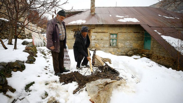 Foto - Bütün sebze meyveleri toprağa gömmeye başladılar! Sebebi çok şaşırttı
