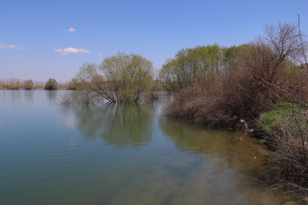 Foto - Bütün şehir bekliyordu! Sivas’tan sonunda güzel haber