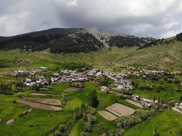 Foto - Büyük panik yaşanıyor! Bu köyü çekirgeler istila etti