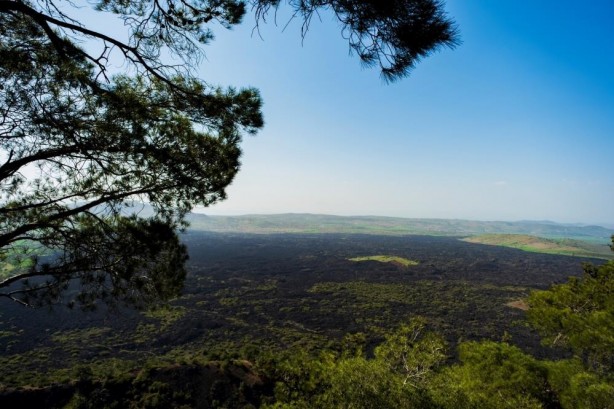 Foto - Büyük sevinç var! TOGG’un rengi Manisa'yı havalara uçurdu