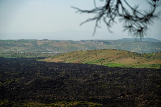 Foto - Büyük sevinç var! TOGG’un rengi Manisa'yı havalara uçurdu