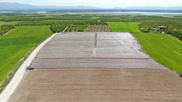 Foto - Büyük sıkıntı yaşanmaya başladı| Deprem tarımı da vurdu!