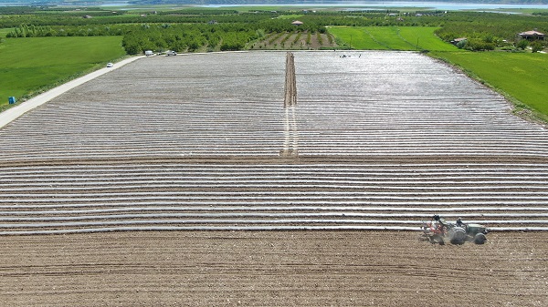 Foto - Büyük sıkıntı yaşanmaya başladı| Deprem tarımı da vurdu!