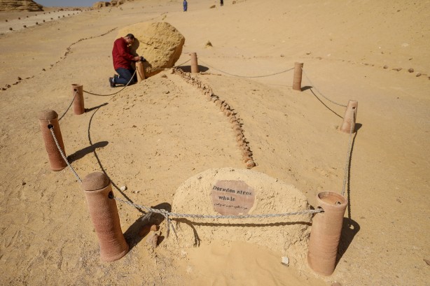 Foto - Büyük şoka uğradılar! Çölün ortasından bakın ne fışkırıyor! Arkeologlar şaşkın...