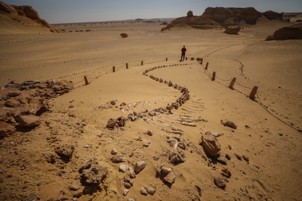 Büyük şoka uğradılar! Çölün ortasından bakın ne fışkırıyor! Arkeologlar şaşkın...