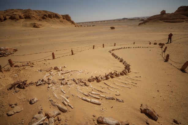 Foto - Büyük şoka uğradılar! Çölün ortasından bakın ne fışkırıyor! Arkeologlar şaşkın...