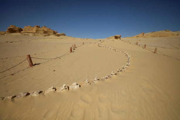 Foto - Büyük şoka uğradılar! Çölün ortasından bakın ne fışkırıyor! Arkeologlar şaşkın...