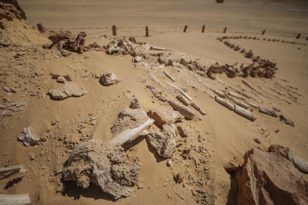 Foto - Büyük şoka uğradılar! Çölün ortasından bakın ne fışkırıyor! Arkeologlar şaşkın...