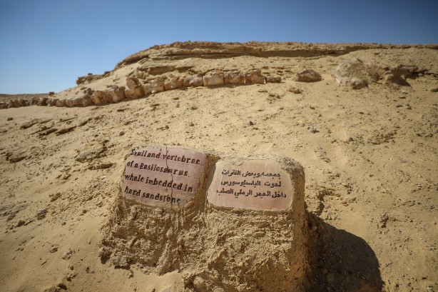 Foto - Büyük şoka uğradılar! Çölün ortasından bakın ne fışkırıyor! Arkeologlar şaşkın...