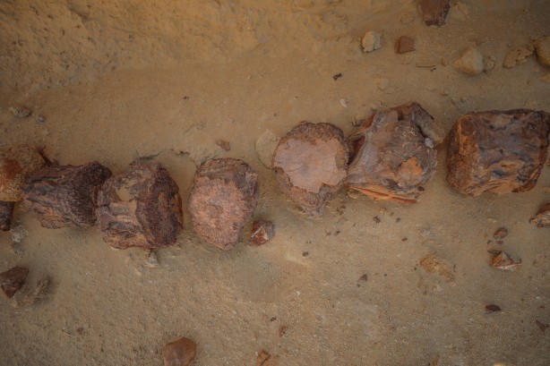 Foto - Büyük şoka uğradılar! Çölün ortasından bakın ne fışkırıyor! Arkeologlar şaşkın...