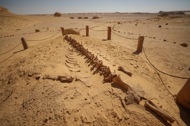 Foto - Büyük şoka uğradılar! Çölün ortasından bakın ne fışkırıyor! Arkeologlar şaşkın...