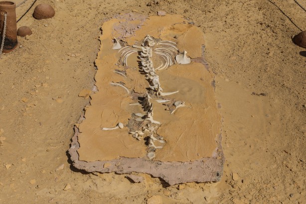 Foto - Büyük şoka uğradılar! Çölün ortasından bakın ne fışkırıyor! Arkeologlar şaşkın...