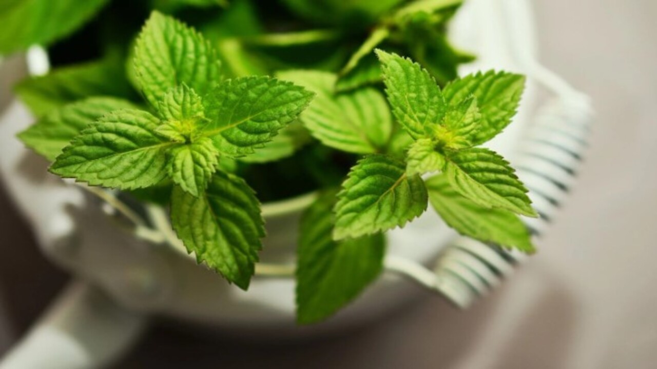 Foto - Büyük sorun ortadan kalkacak! İşte ağız kokusunu dakikalar içinde yok eden yöntem