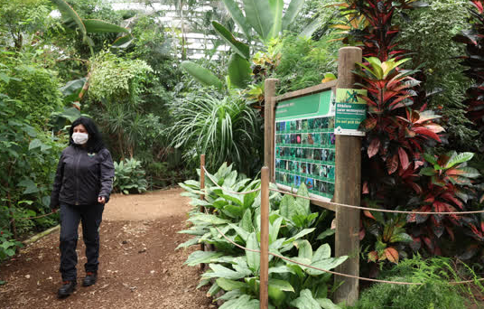 Foto - Büyük sürpriz var! ‘O günü iple çekiyoruz’