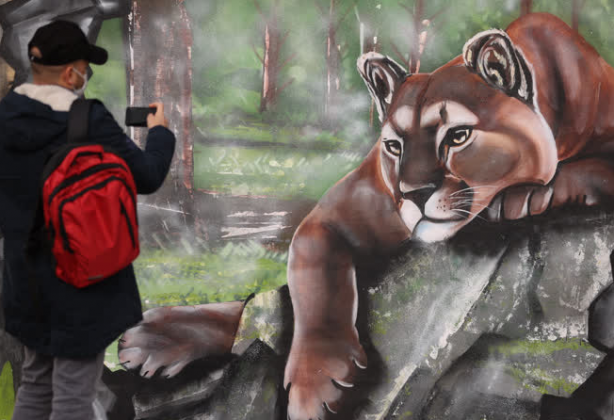 Foto - Büyük sürpriz var! ‘O günü iple çekiyoruz’