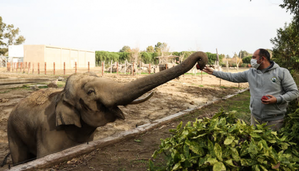 Foto - Büyük sürpriz var! ‘O günü iple çekiyoruz’