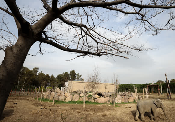 Foto - Büyük sürpriz var! ‘O günü iple çekiyoruz’
