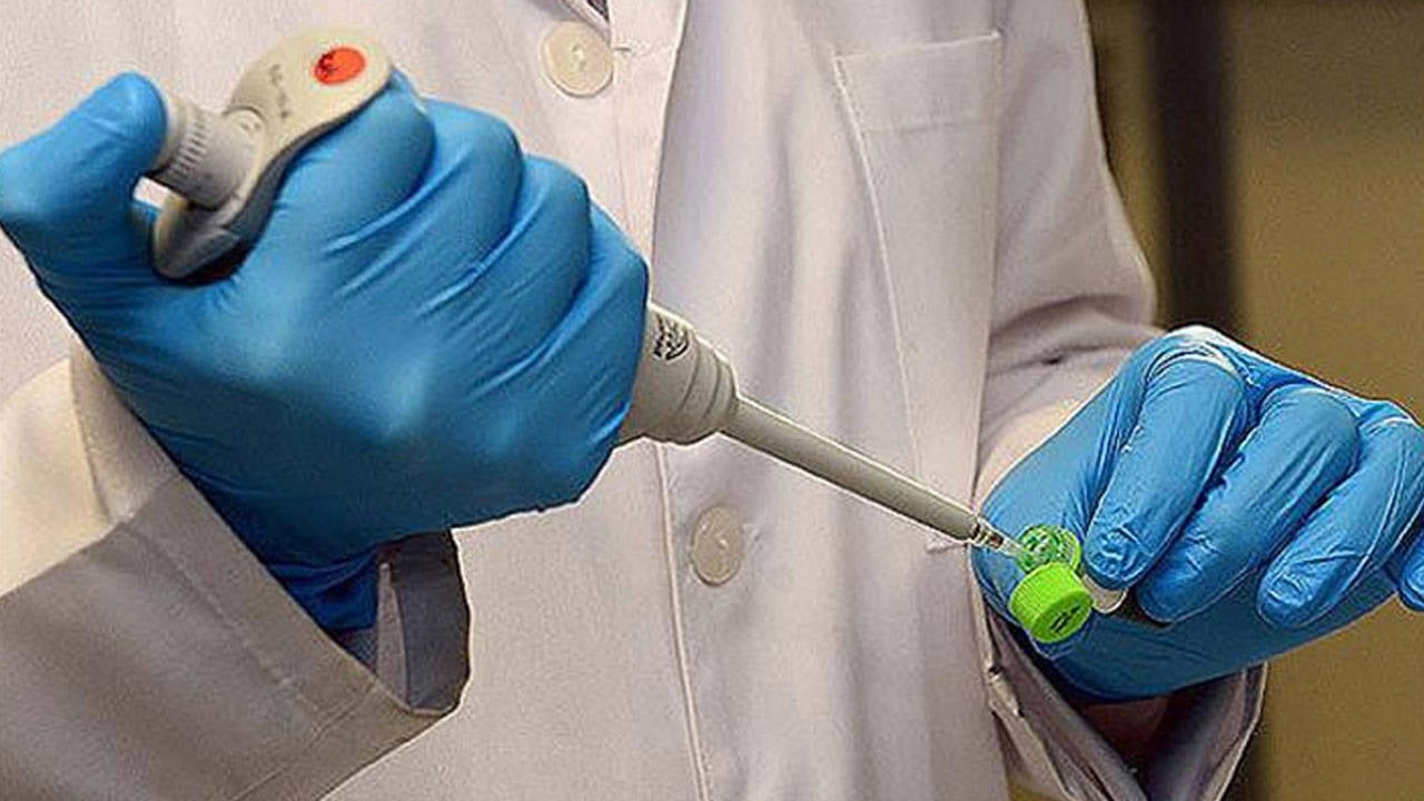 Foto - Büyük tehlike: Et yiyen vidalı kurtçuk vakalarında yüzde 53’lük korkutan artış! Türkiye’de var mı?