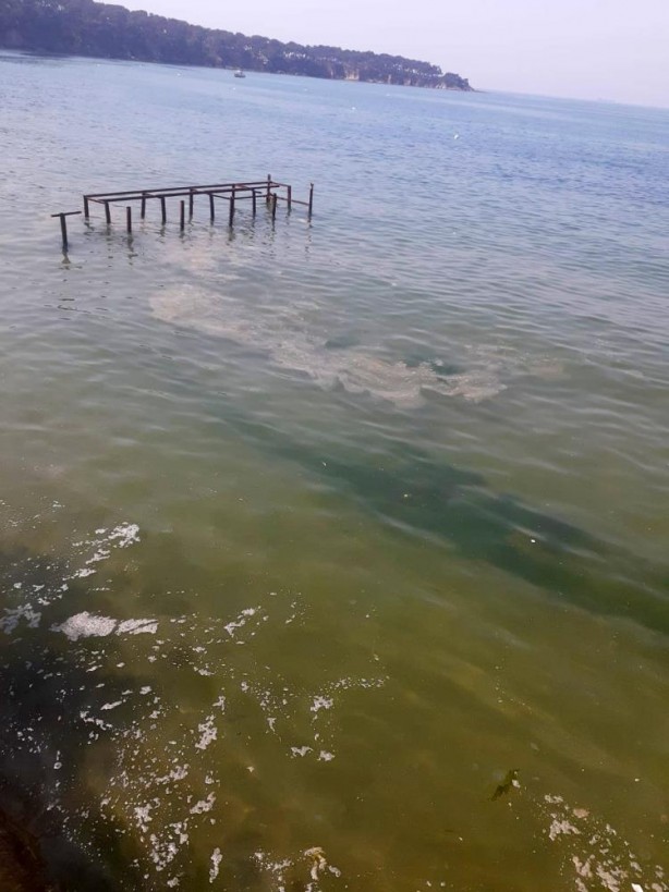 Büyükada'da korkutan görüntüler
