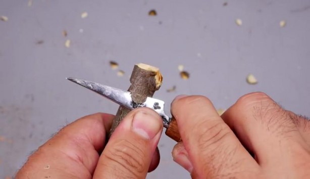 Foto - Büyükbabasının evinde şans eseri buldu! Son hali herkesi şaşırttı