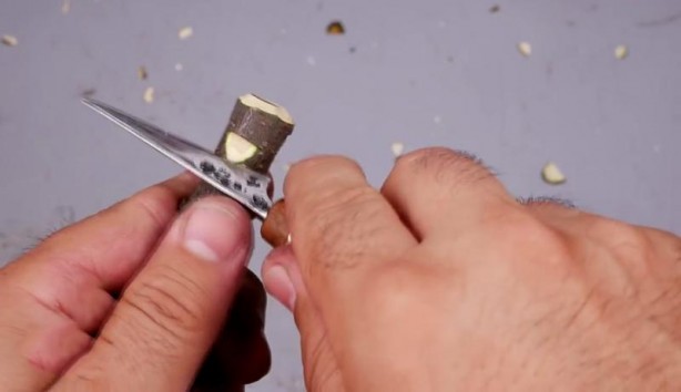 Foto - Büyükbabasının evinde şans eseri buldu! Son hali herkesi şaşırttı